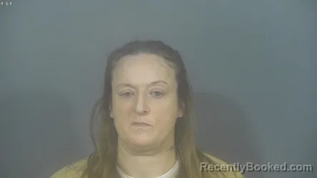 Recent Mugshot Image for ALEXIS AURORA SARA WILKINS in St Joseph County, Indiana