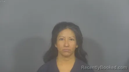 Recent Mugshot Image for CARMEN CARRANZA-CAPORAL in St Joseph County, Indiana