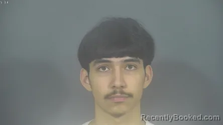 Recent Mugshot Image for ALEXAVIRE ANTONIO CABRAL in St Joseph County, Indiana