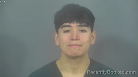 Recent Mugshot Image for LUIS VERGARA SILVA in St Joseph County, Indiana