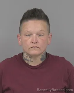 Recent Mugshot Image for SUSAN PAIGE LEWIS in Johnston County, North Carolina