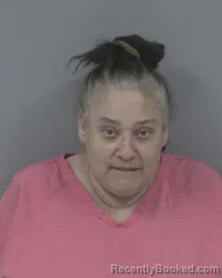 Recent Mugshot Image for LISA CHRISTINA MCMILLAN in Johnston County, North Carolina
