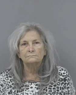 Recent Mugshot Image for CHRISTINE MARIE PANK in Johnston County, North Carolina