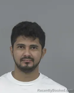 Recent Mugshot Image for WILSON RENE GONZALES SABILLON in Johnston County, North Carolina
