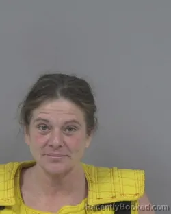 Recent Mugshot Image for AMY LYNN YOUNG in Johnston County, North Carolina