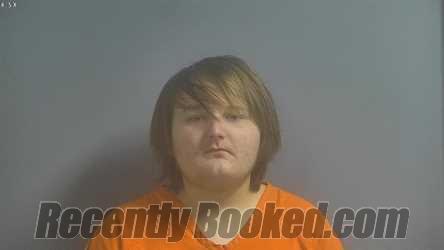 Recent Mugshot Image for NATHANIEL JACKSON SIMPSON in Sullivan County, Indiana
