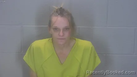 Recent Mugshot Image for Amy M Gallivan in Tippecanoe County, Indiana