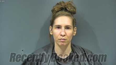 Recent Mugshot Image for KAYLEE MARIE VANNESS in Tipton County, Indiana