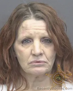 Recent Mugshot Image for JENNIFER LYNN MOSER in Vanderburgh County, Indiana