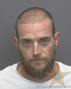 Recent Mugshot Image for JEREMY SHAWN STEPHENS in Vanderburgh County, Indiana