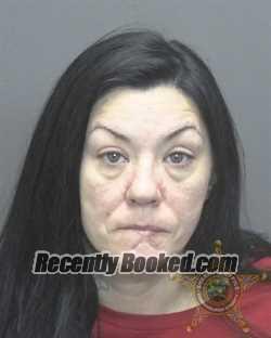 Recent Mugshot Image for LISA MICHELLE FILE in Vanderburgh County, Indiana