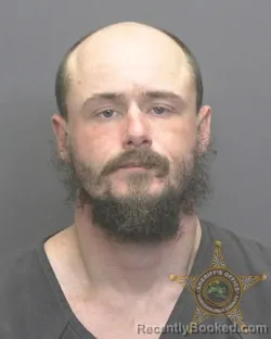 Recent Mugshot Image for DAVID E KING in Vanderburgh County, Indiana