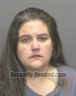 Recent Mugshot Image for SARA LYNN MORGAN in Vanderburgh County, Indiana