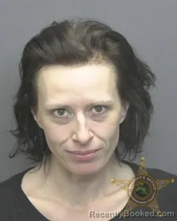 Recent Mugshot Image for JESSICA MARIE BRADFORD in Vanderburgh County, Indiana