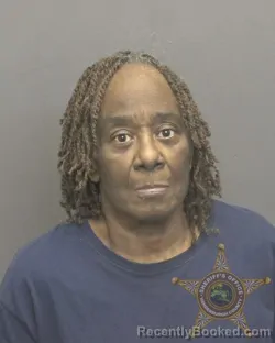 Recent Mugshot Image for SONDRA LEE DEAN in Vanderburgh County, Indiana