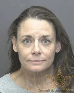 Recent Mugshot Image for STACY ELAINE FULTON in Vanderburgh County, Indiana