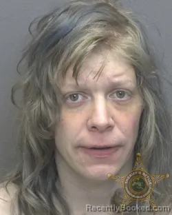 Recent Mugshot Image for ROCHELLE LYNN MORRIS in Vanderburgh County, Indiana