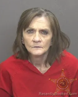 Recent Mugshot Image for ROBIN ELAINE HAMILTON in Vanderburgh County, Indiana