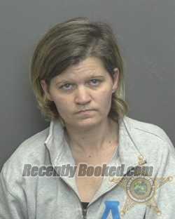 Recent Mugshot Image for ANGIE DEANN MITCHELL in Vanderburgh County, Indiana