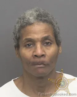 Recent Mugshot Image for DELORES ANN JOHNSON in Vanderburgh County, Indiana