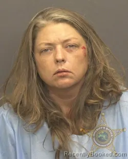 Recent Mugshot Image for LINDSAY MICHELLE SAPP in Vanderburgh County, Indiana