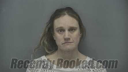 Recent Mugshot Image for Christina Alte in Vigo County, Indiana