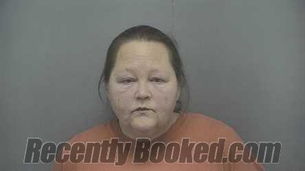 Recent Mugshot Image for Stephanie L Bedwell in Vigo County, Indiana