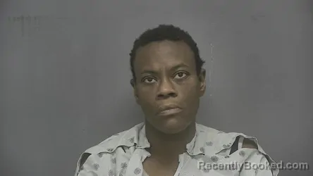 Recent Mugshot Image for Shakeilia Daishalei Ellington in Vigo County, Indiana