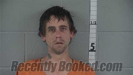 Recent Mugshot Image for ALBERT L HARDIN in Washington County, Indiana