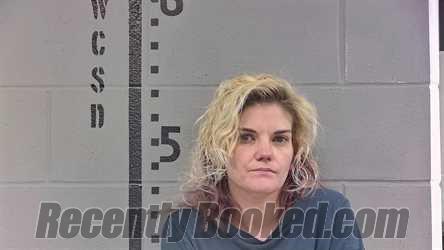 Recent Mugshot Image for CHRISTINE PENNELL in White County, Indiana
