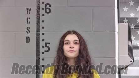 Recent Mugshot Image for EMILY TRESSLER in White County, Indiana