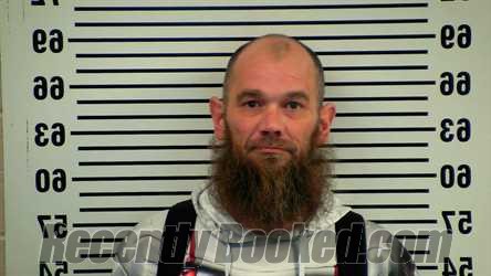 Recent Mugshot Image for DONALD HARRISON in Allen County, Kentucky