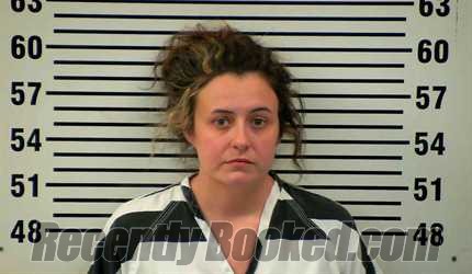 Recent Mugshot Image for AMY HUNT in Allen County, Kentucky