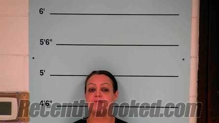 Recent Mugshot Image for LEE RITCHIE in Bourbon County, Kentucky