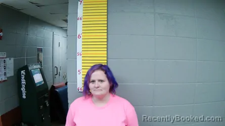 Recent Mugshot Image for EMILY JAMESON in Butler County, Kentucky