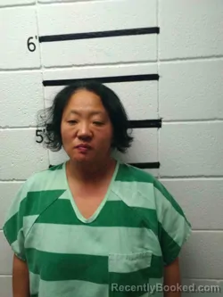 Recent Mugshot Image for NICOLE MAYFIELD in Caldwell County, Kentucky