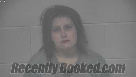 Recent Mugshot Image for DANIELLE NICHTER in Carroll County, Kentucky