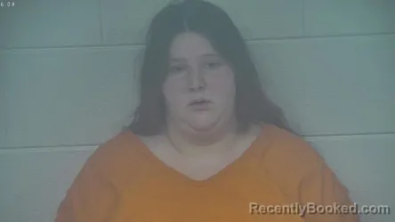 Recent Mugshot Image for IVY RANEY in Carroll County, Kentucky