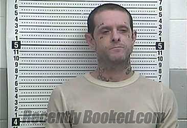 Recent Mugshot Image for SHAWN LEAR in Casey County, Kentucky