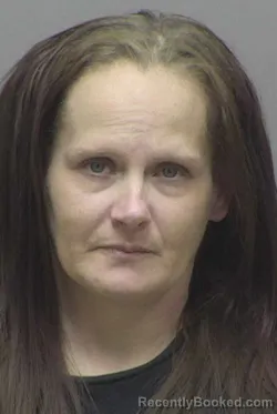 Recent Mugshot Image for HEATHER VICTORIA LEATHERMAN in Lincoln County, North Carolina