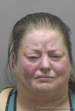 Recent Mugshot Image for CONSTANCE AMANDA COOK in Lincoln County, North Carolina