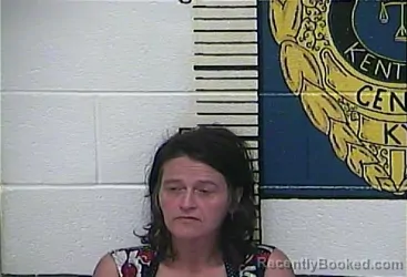 Recent Mugshot Image for NANCY MITCHELL in Clay County, Kentucky