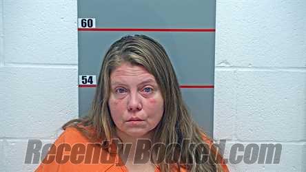 Recent Mugshot Image for AMANDA R STEWART in Grayson County, Kentucky