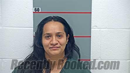 Recent Mugshot Image for KEYDY EUSEDA HERNANDEZ in Grayson County, Kentucky