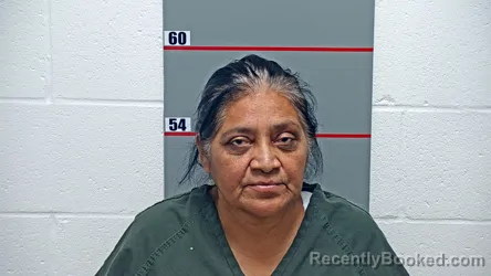 Recent Mugshot Image for SILVINA AMBROSIO HERNANDEZ in Grayson County, Kentucky