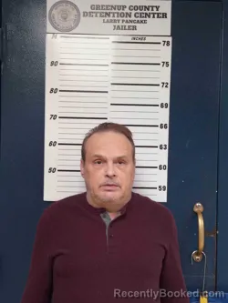 Recent Mugshot Image for DAVID YOUNG in Greenup County, Kentucky