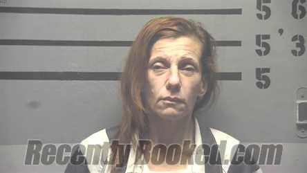 Recent Mugshot Image for SARA LINDSAY ORANGE in Hopkins County, Kentucky