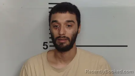 Recent Mugshot Image for ANDRES LLAMAS in Jefferson County, Kentucky