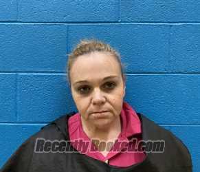 Recent Mugshot Image for LISA MARIE STAFFORD in McDowell County, North Carolina