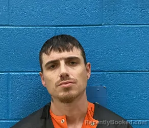 Recent Mugshot Image for ERIC MICHAEL BROWN in McDowell County, North Carolina